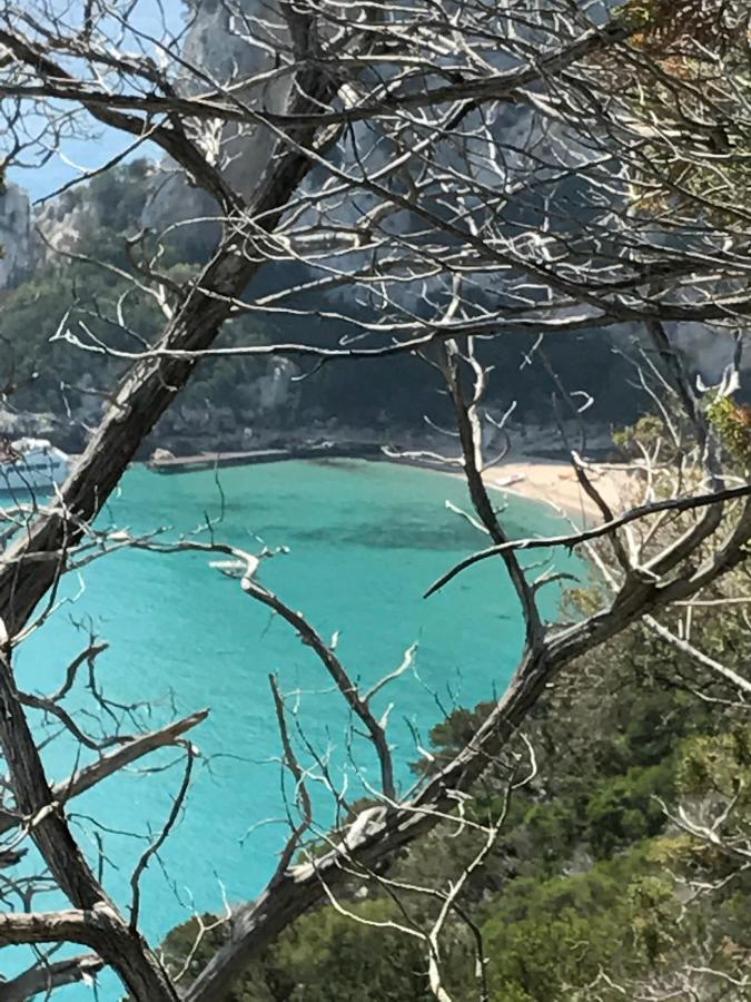 Villa Impetrata Iun Q7090 Orosei Εξωτερικό φωτογραφία