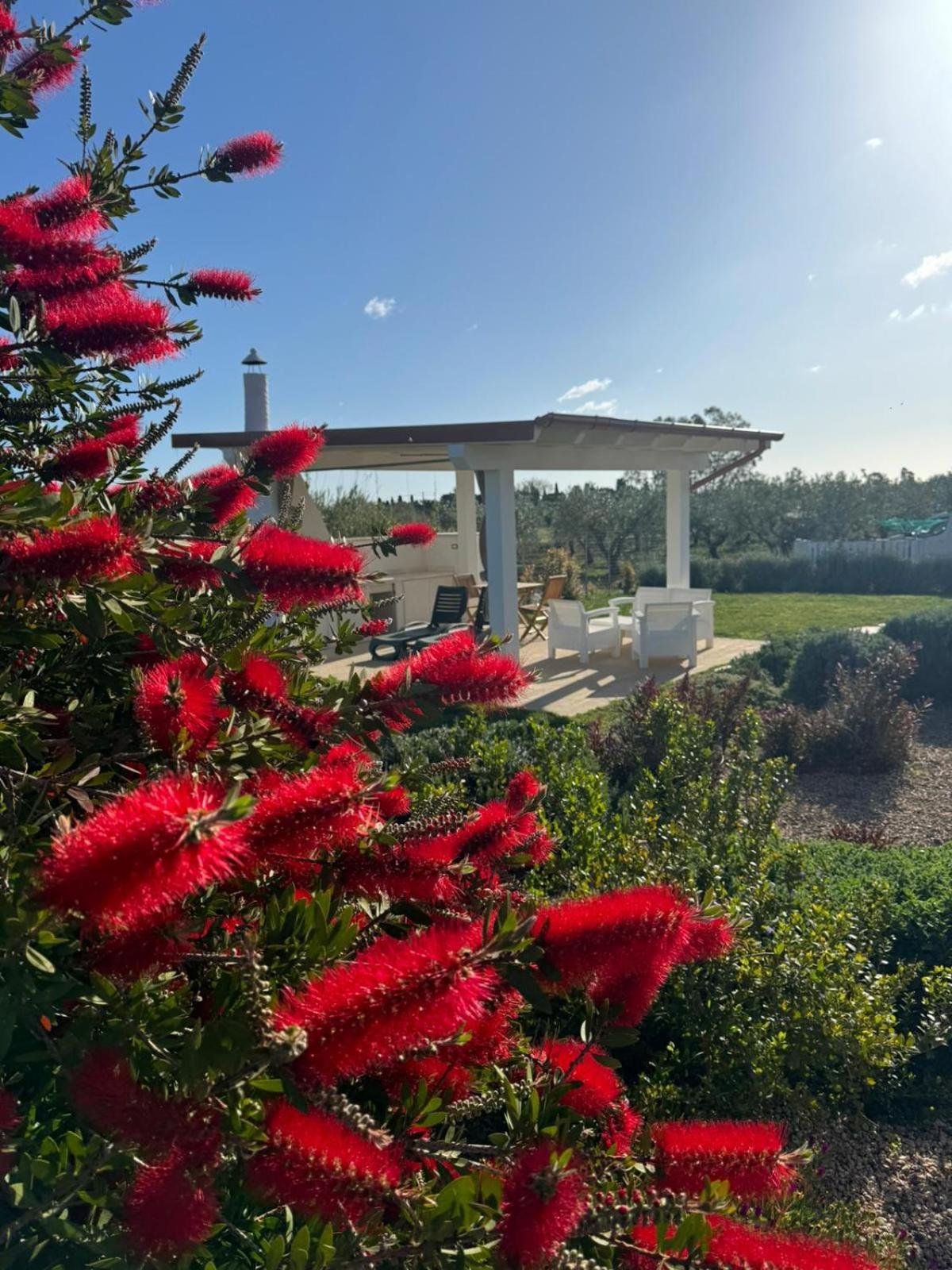 Villa Impetrata Iun Q7090 Orosei Εξωτερικό φωτογραφία